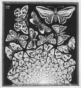 Farfalle, simbolo della trasformazione della sofferenza, consapevolezza